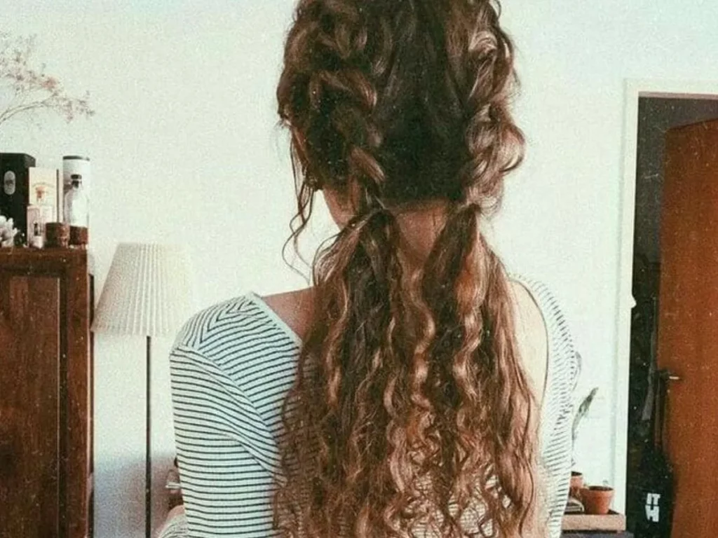 Dutch Braids Hairstyle